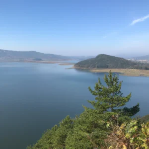 image-1