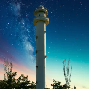 image-2