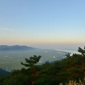 image-2