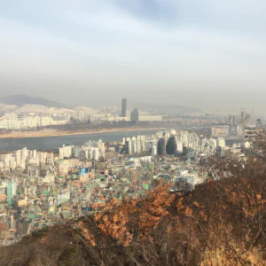 image-3