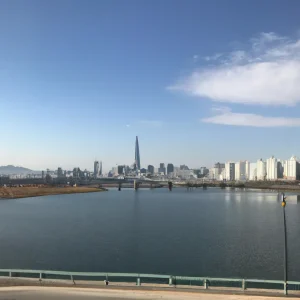 image-8