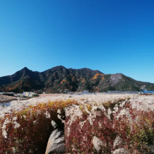image-3